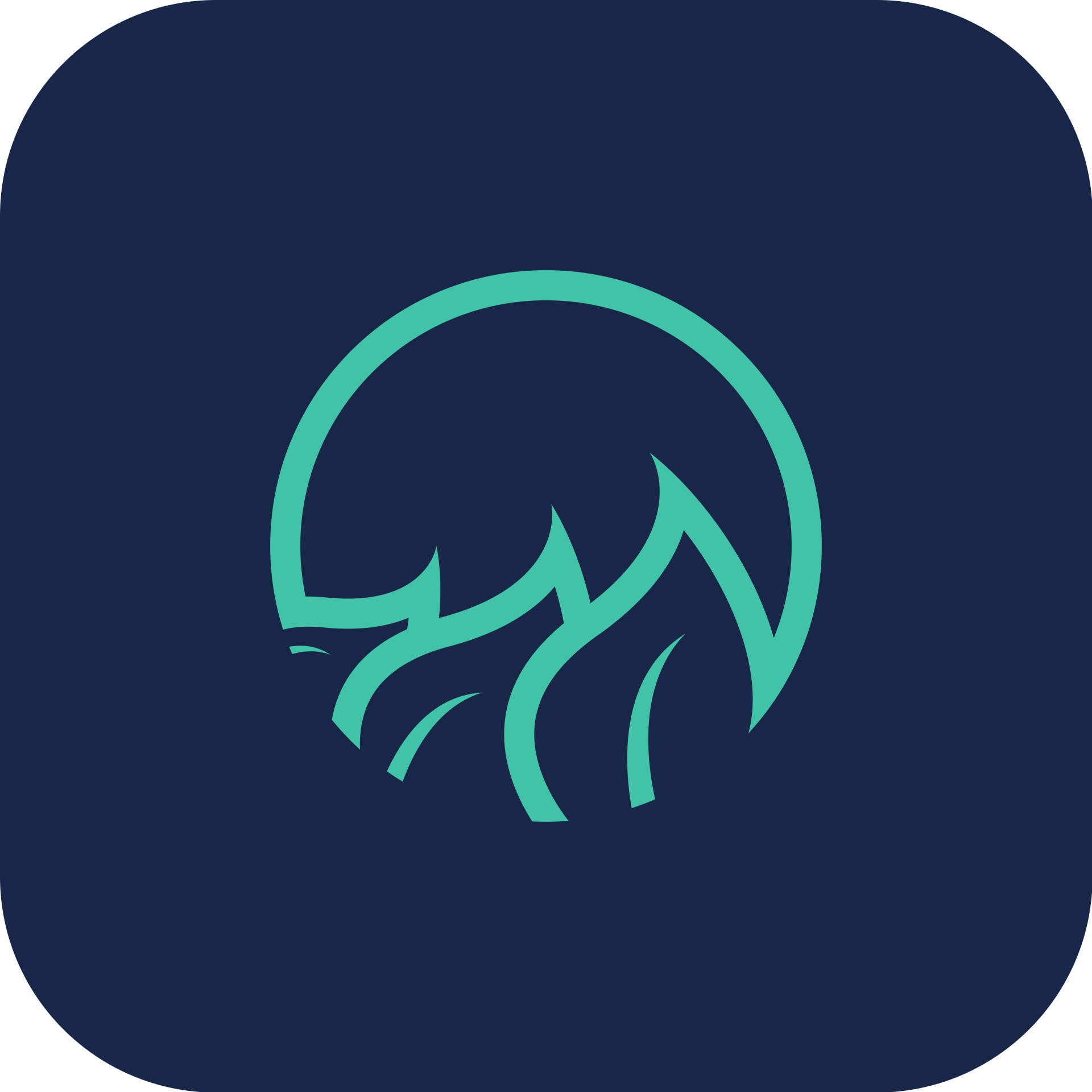 Icone v4